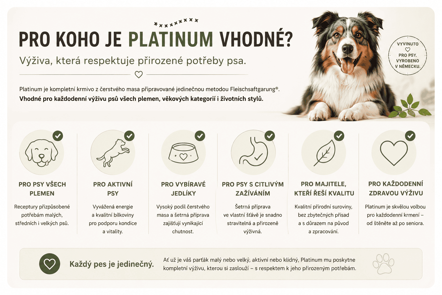 Platinum kompletní výživa pro psy